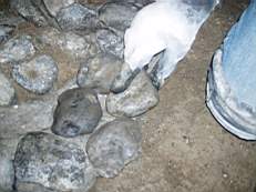 rockfield 1514.jpg